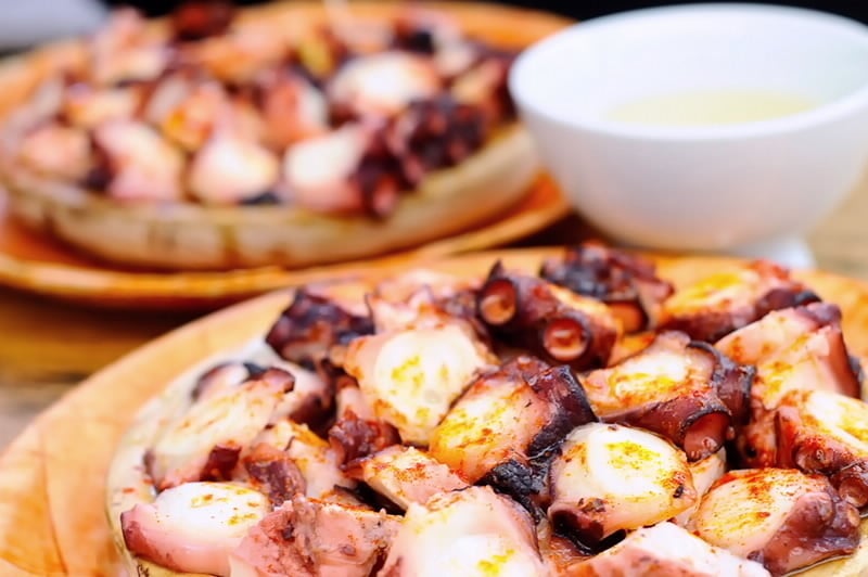 pulpo