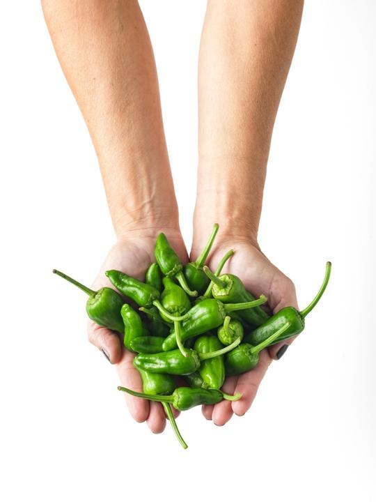 Foto Pimiento